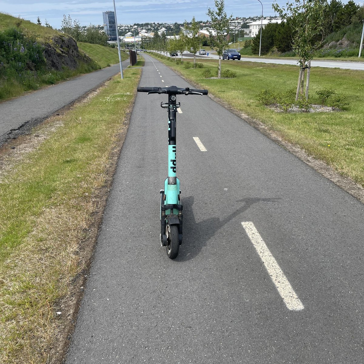 Verst lagða rafskútan (@verstlagda) on Twitter photo 