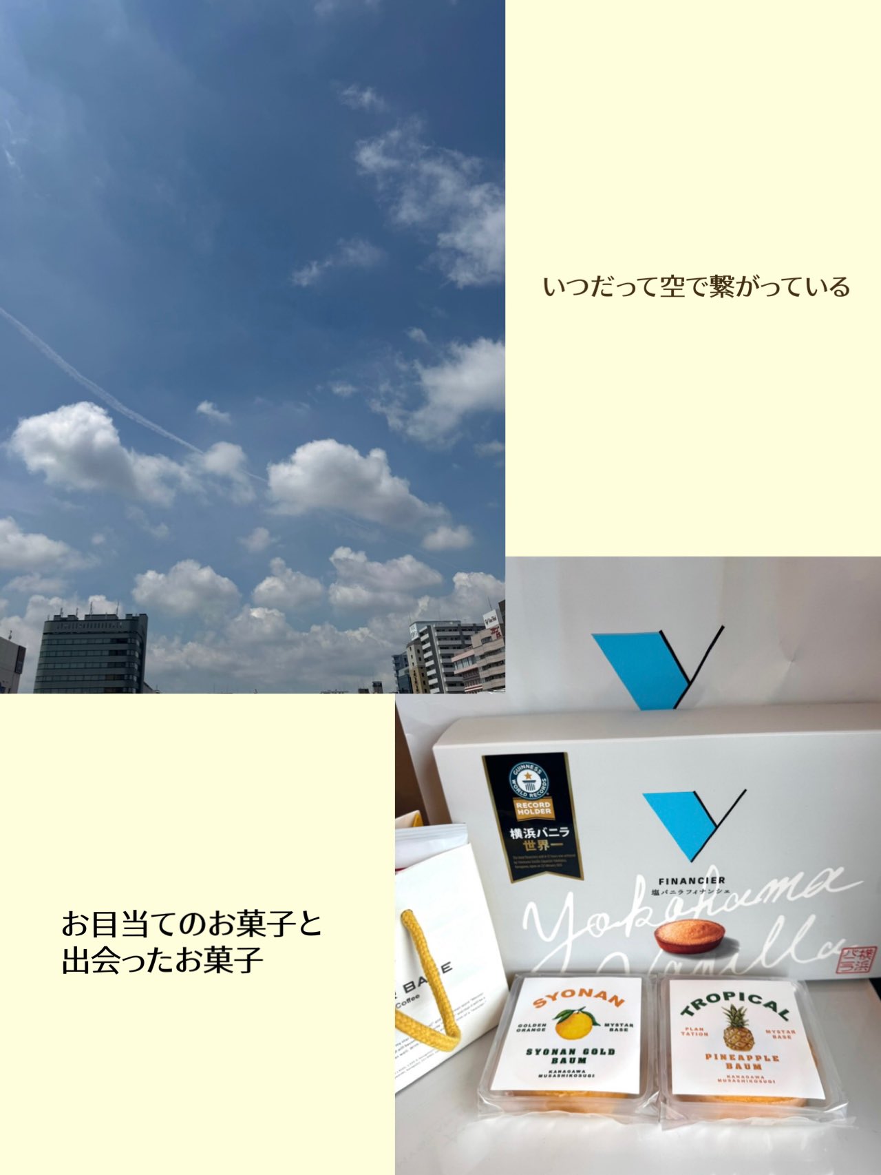 ちえちゃん on X: 