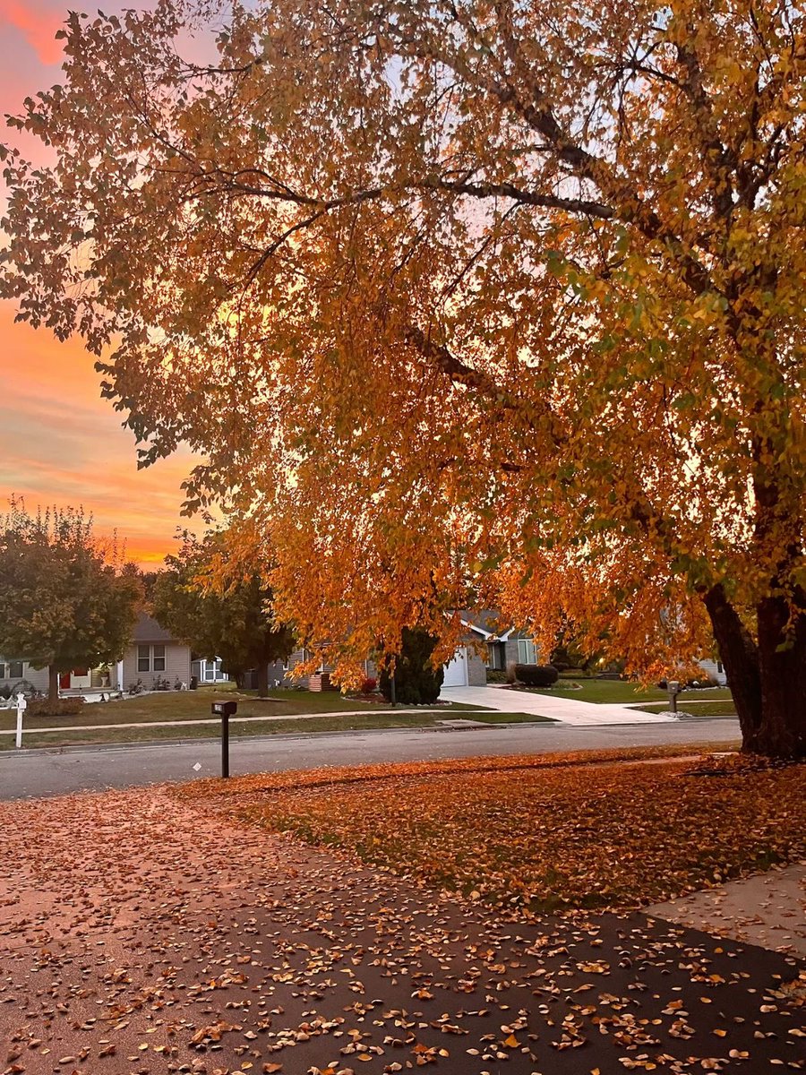 thespookygirll's tweet photo. this and a cold october night 🍂 https://t.co/7zOKZz4Pjv