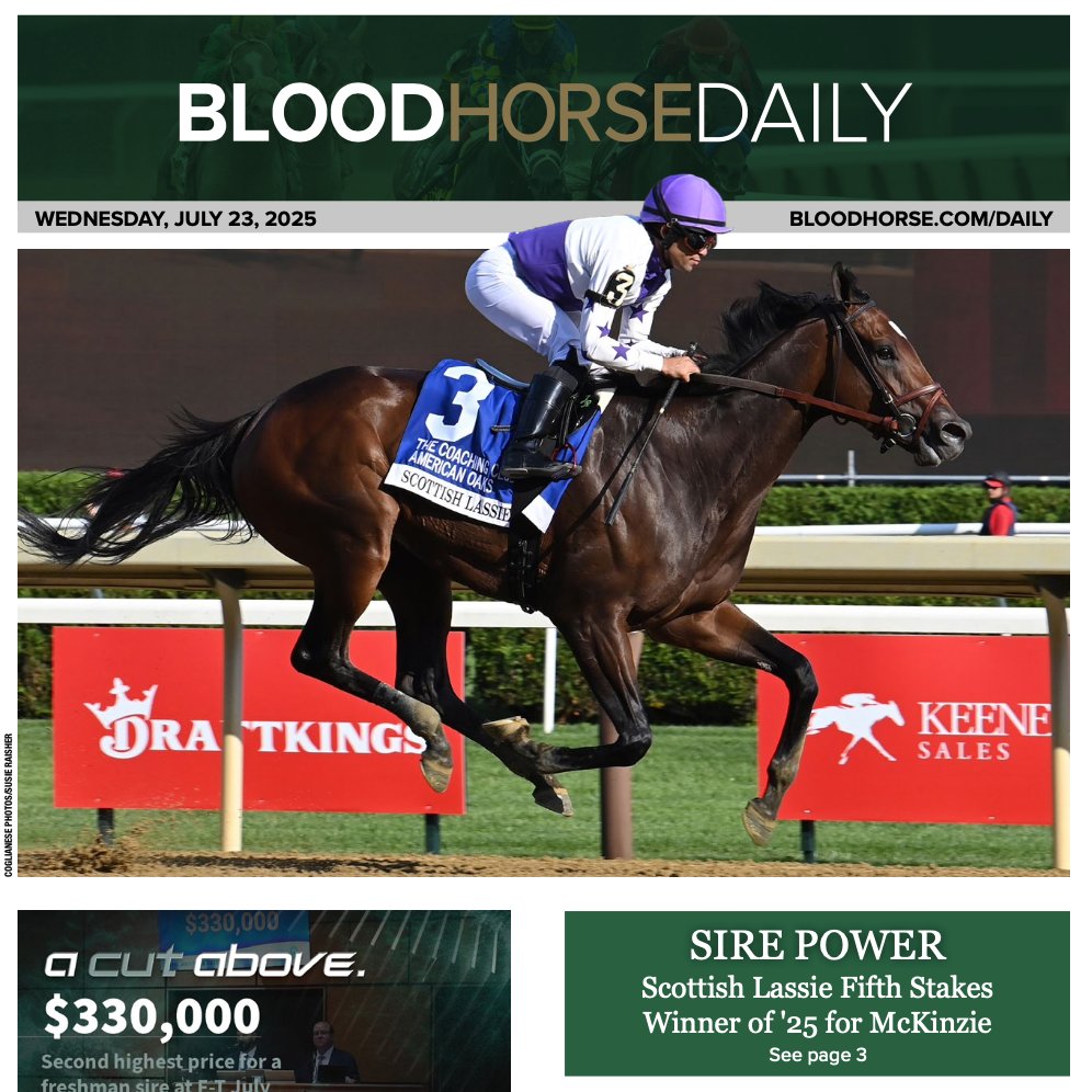 BloodHorse's tweet image. In Wednesday's #BHDaily:
Scottish Lassie Fifth Stakes Winner of '25 for McKinzie
Breeders' Cup Day of Giving Starts with $100K Match
Spectacular Grey Tops F-T July Digital Sale at $625k
Gaffalione Returns in Top Form, Goes 5-For-7 at Ellis
READ MORE…