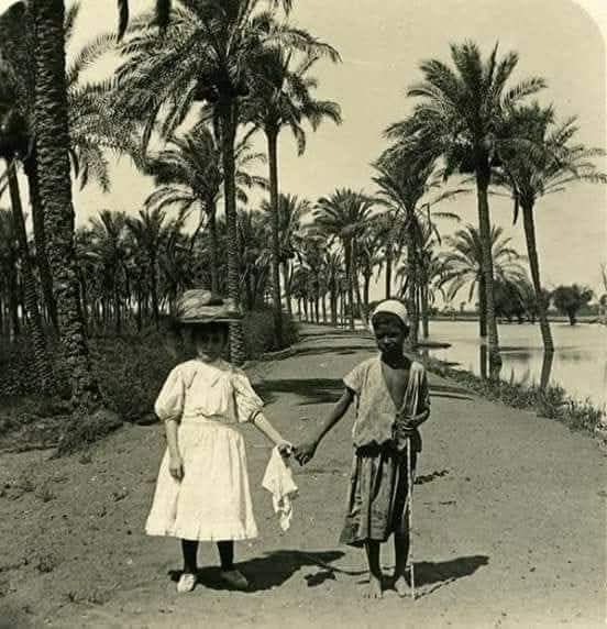 hmmzayed's tweet image. وفي الجزء التاني
إنجي وعلي إتجوزوا وخلفوا 10 عيال .
والجزء الثالث
منتظر التعبأه الثالثة لسد النهضة