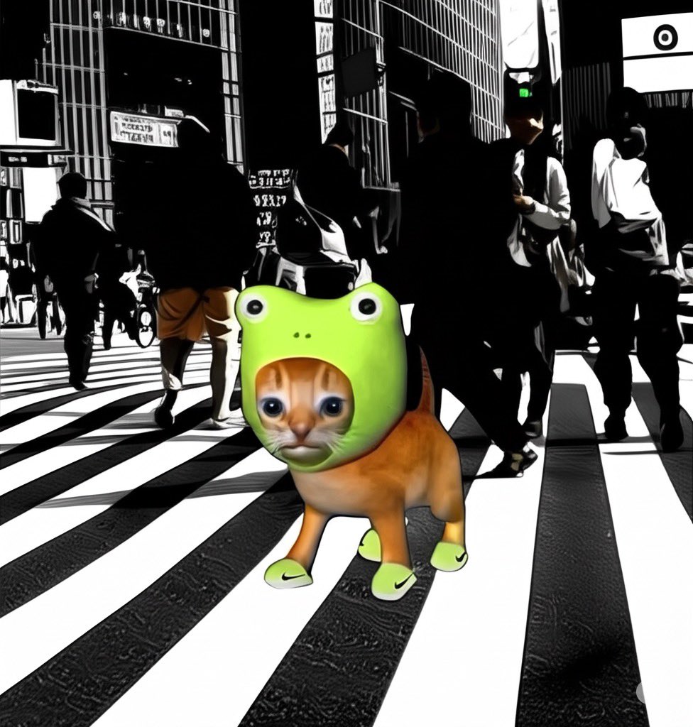s1nb6d's tweet image. cityboyz up