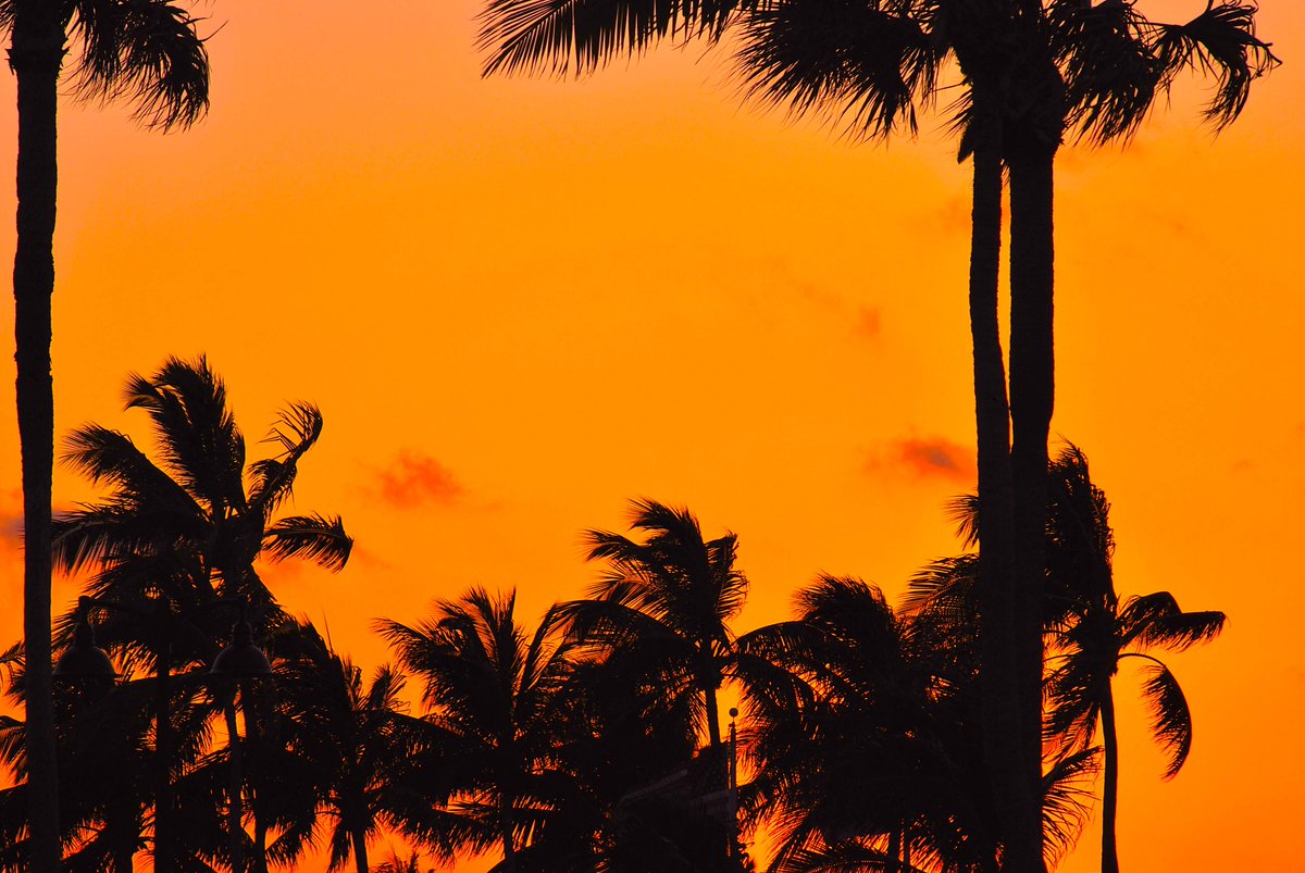SecretFlying's tweet photo. SUMMER: #LosAngeles to #FortLauderdale (&amp; vice versa) for only $205 roundtrip with American Airlines #Travel

https://t.co/fLgQb5e2UW https://t.co/pZnf4V0Mx4