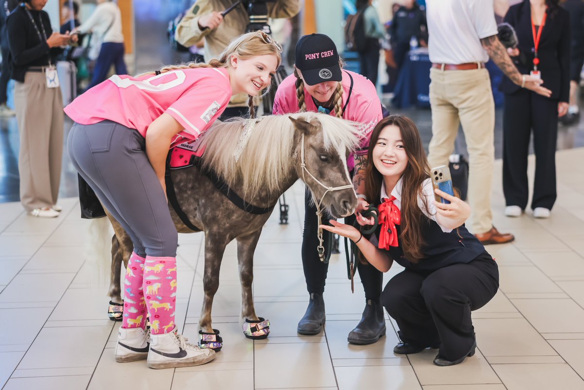 YVRaeroport's tweet image. 🐴✨ On a sorti les grands chevaux ! Magic et Tinkerbell ont trotté jusqu’à YVR aujourd’hui et ont volé la vedette. Ces poneys miniatures de zoothérapie font partie de notre initiative LASI (Less Airport Stress Initiative), qui vise à offrir des moments de calme, de réconfort et…