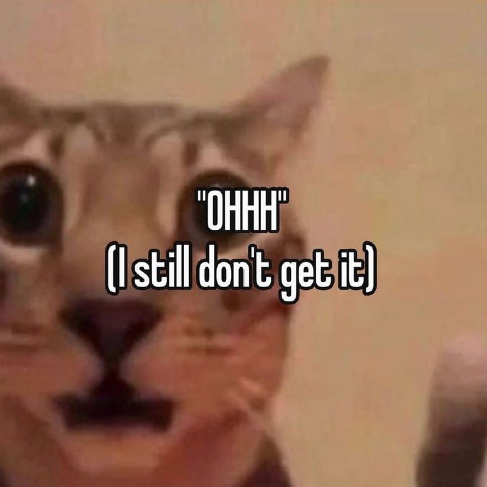 LiterallyMeCats (@literallymecats) on Twitter photo 