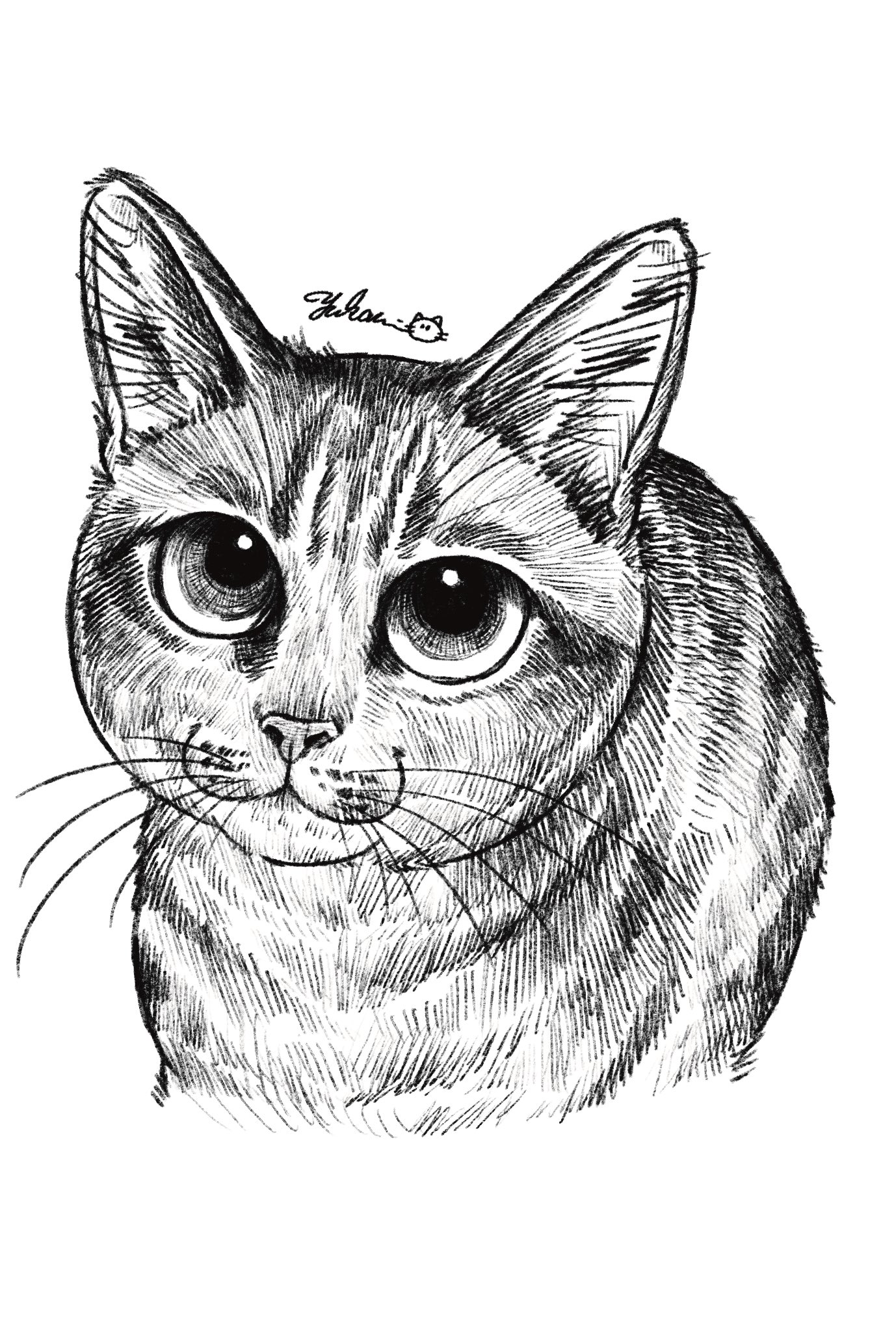 YUKARI 猫イラスト Yukari on X: 