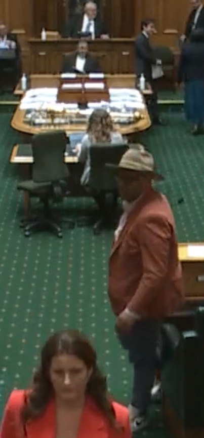 Suitandtie9999's tweet image. A huge congratulations to Speaker of the House @GerryBrownleeMP who continues to lower the standards of the house every day.
Faded jeans and sneakers, aka street wear, apparently meet the standards of business attire under Brownlee’s watch.