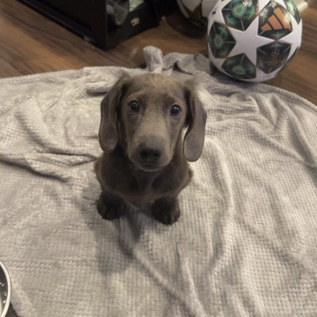 Xen Jivi tweet media