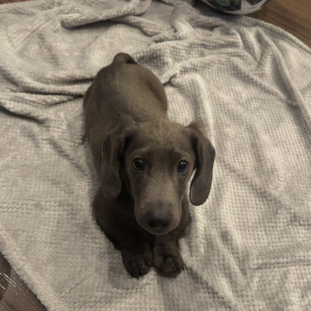 Xen Jivi tweet media