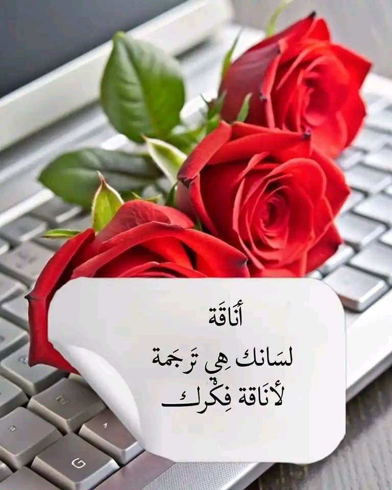 💦خـواطـر 💦

حنا تربينا على طيب الاخلاق
من صغرنا واسلوبنا حيل راقي.🥀
💦