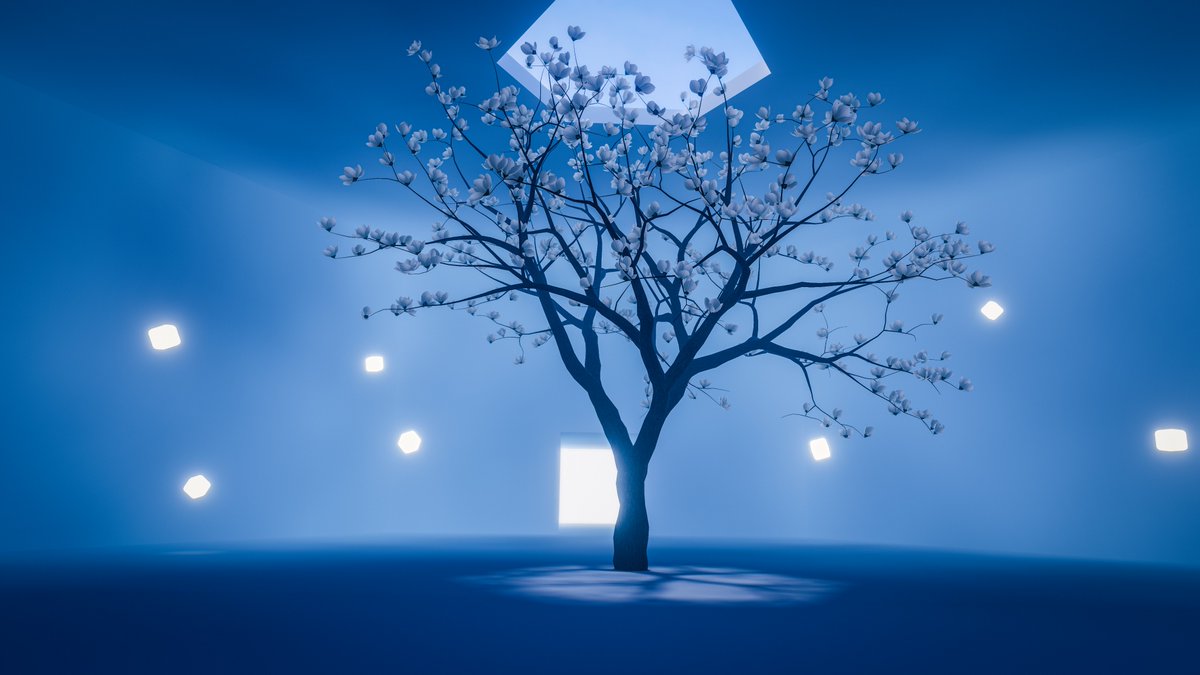 jellekayen's tweet image. その日の記録と感想について。
About the day's record and feelings․
World: Aspirla
Author: knfoxl @knfoxl
vrchat.com/home/world/wrl…
#VRChat #VRChatPhotography #VRChat_world紹介