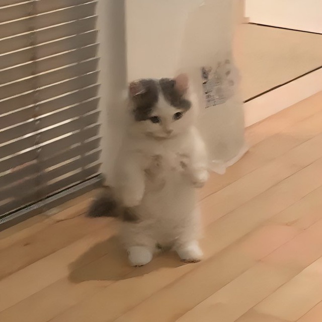 Riddler0x's tweet image. You’re seriously underestimating cats, but they are totally dominating the internet
$POPCAT
$MOG
$MINI
$MICHI