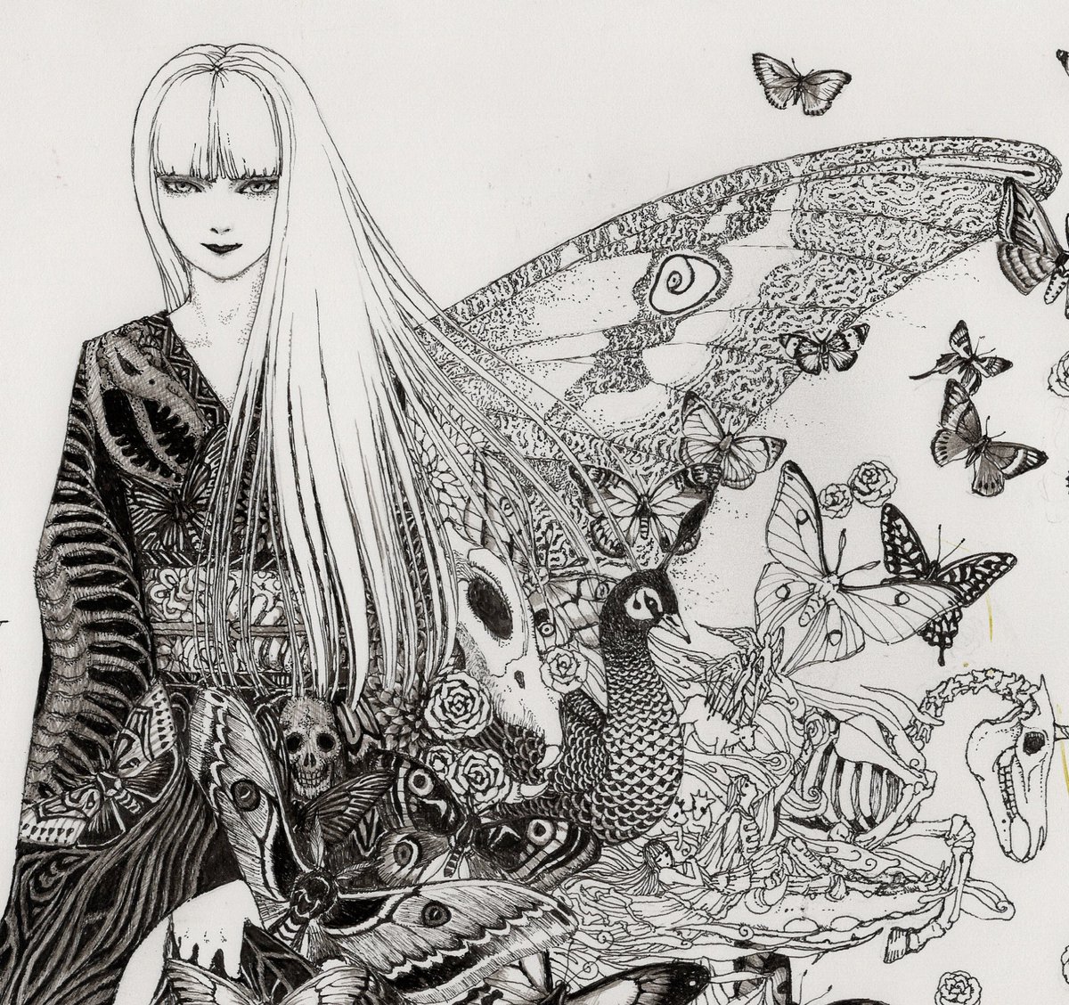 「子山羊の新世紀」 0号 笹本正明 子山羊の新世紀」 0号 笹本正明 子山羊の新世紀」 0号