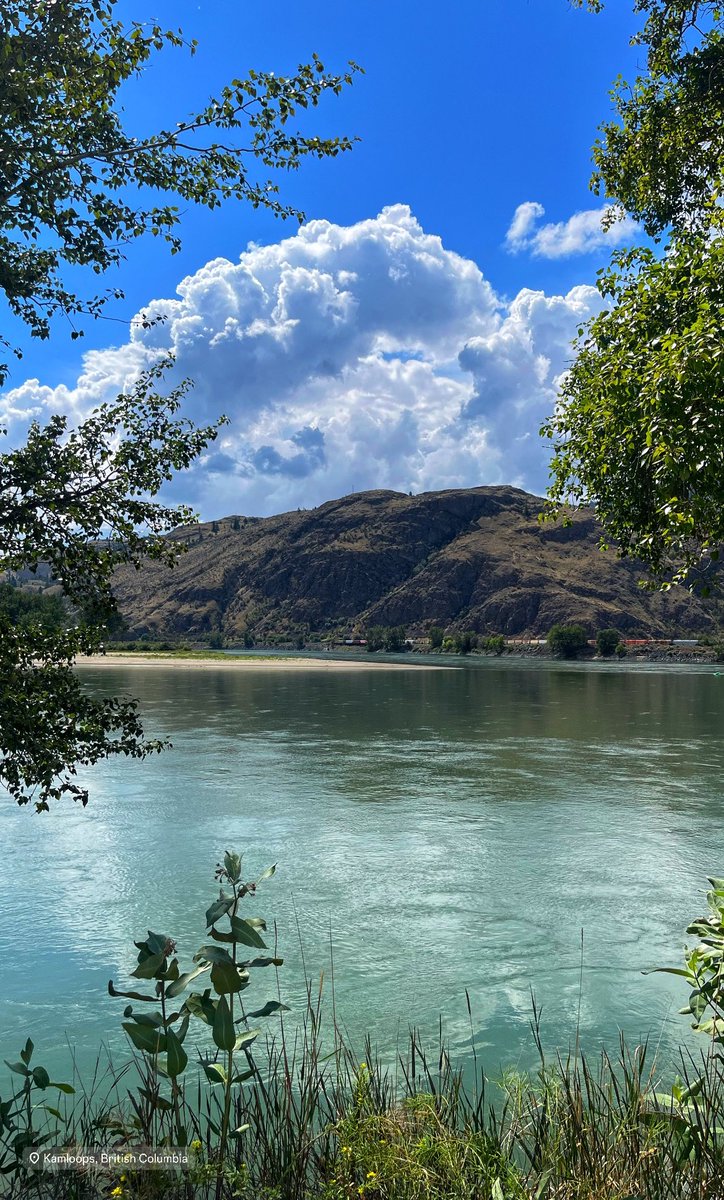RandipJanda's tweet image. On the shore of the mighty Thompson River at Kamloops’ MacArthur Park.
Am I doing this right, @imacSportsnet?
