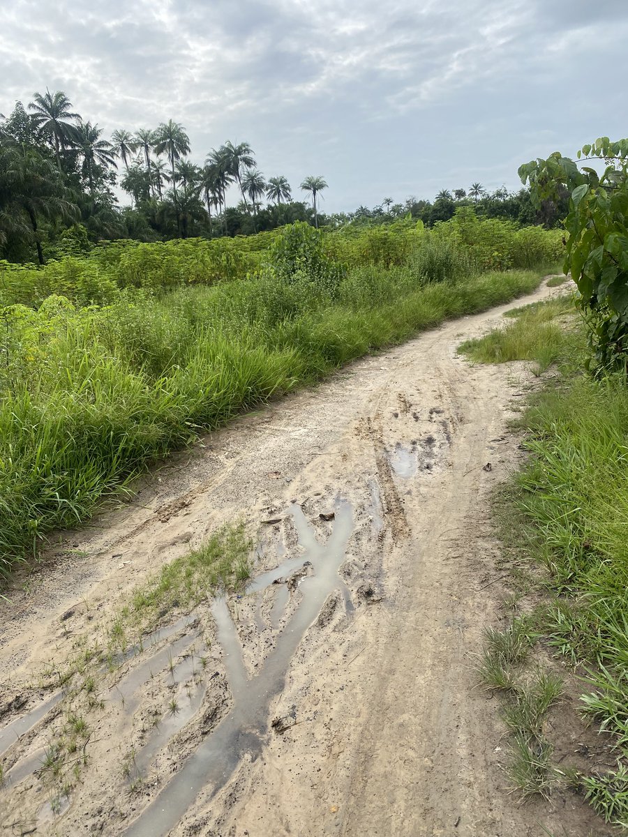 Biama64842199's tweet photo. @RtHonSheriff The governor has tried but Otutwama/Ophorigbala  in Ughelli south has no access road since i was born and now have kids still no road https://t.co/nErr8LpzIq