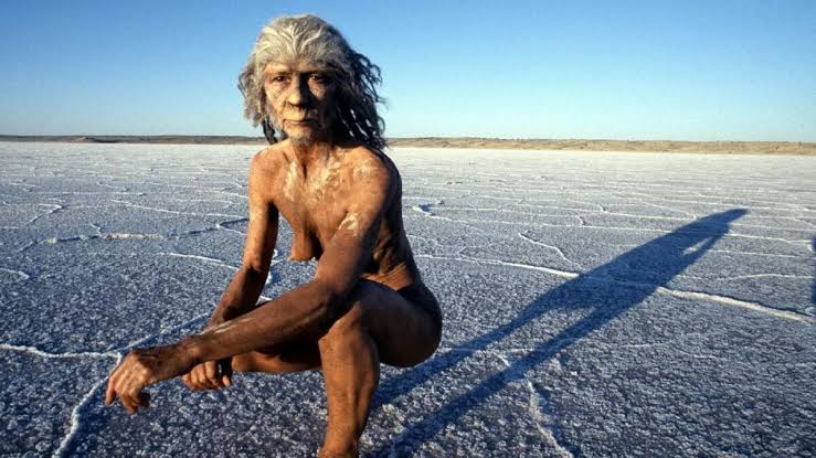 joanne fabric tweet media