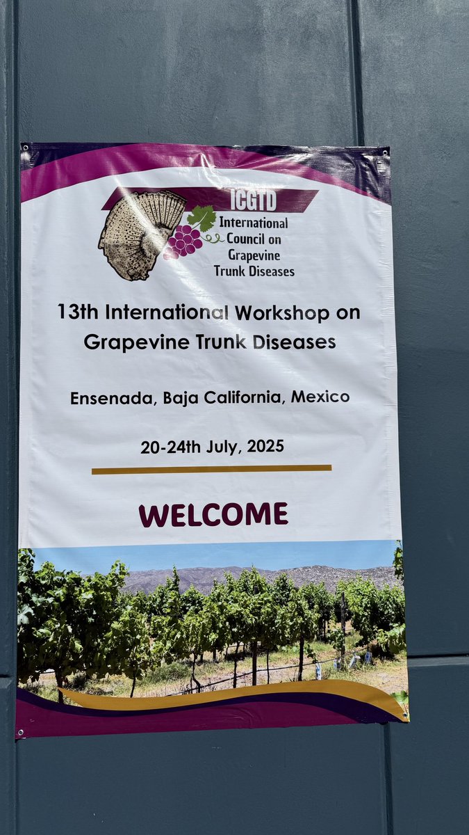 Plant doctor (@akifeskalen) on Twitter photo 