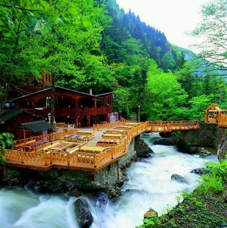 DriverTourism's tweet photo. جاهز تعيش تجربة ما تنساها وسط طبيعة الشمال التركي؟
طرابزون وجهتك المثالية، ومنها إلى ريزا وآيدر اللي تتميز بشلالاتها ومسطحاتها الخضراء
ولرحلة مريحة وسلسة، نوفر لك تأجير سيارات مع سائق في طرابزون https://t.co/CczrE0qIBr