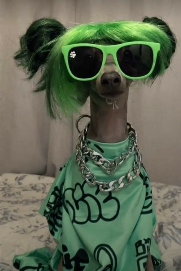 بصراحه اليوم <a href="/njjn2020/">نجود 🕊️</a> 

كاشخه الف 😂😂😂😂