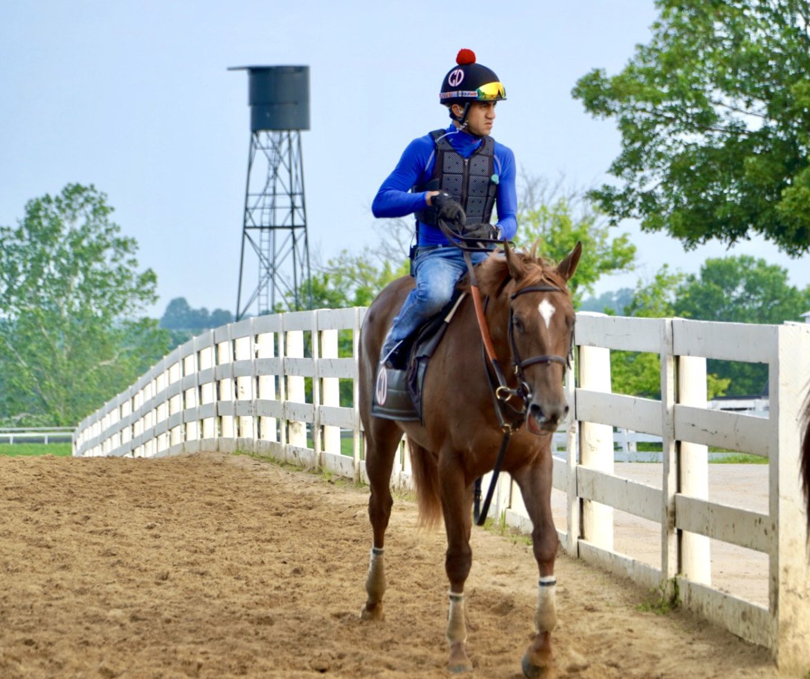 BelladonnaRaci1's tweet image. Happy #2YOTuesday. Today’s spotlight (x2) is on our “Curlin Girls” TAKE A BOW (Curlin-Bajan Girl) and the unnamed ‘23 Curlin-Tiffany’s Gal. Both worked on Thursday, posting the fastest 3F in :36 flat (#1/18). Each has four works on their tab at KEE.