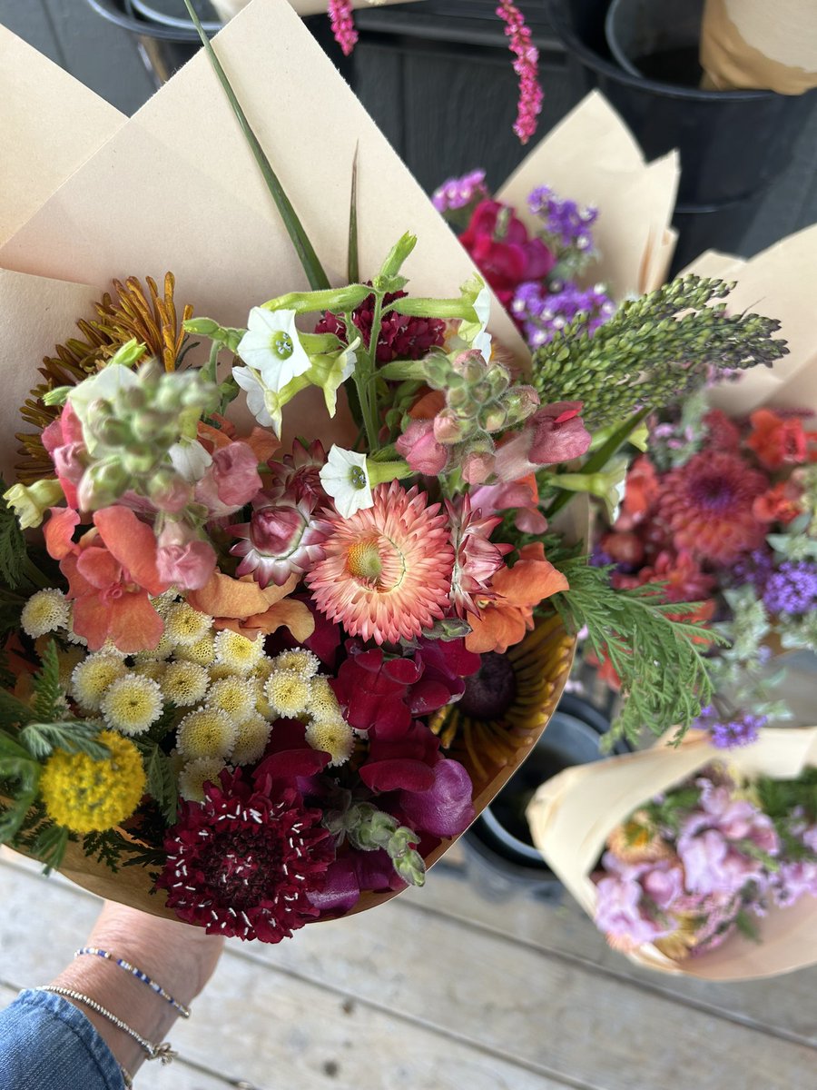 becky_pliego's tweet image. My friend @meganjanehaney grows the prettiest flowers!