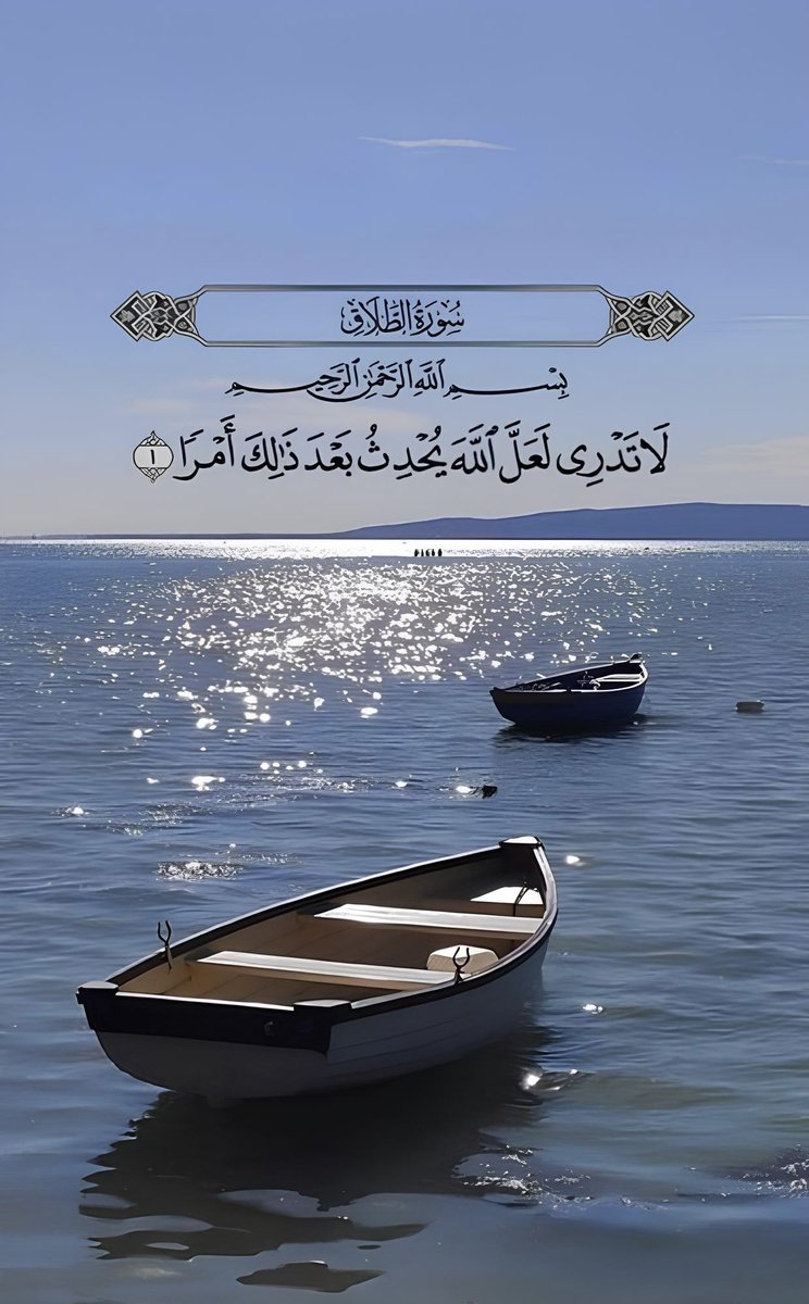 ريشة رسام (@zli__) on Twitter photo 