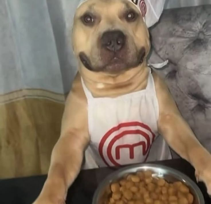 Como me gustan los videos de SetUps dios. que rico verlos y ponerse a fantasear