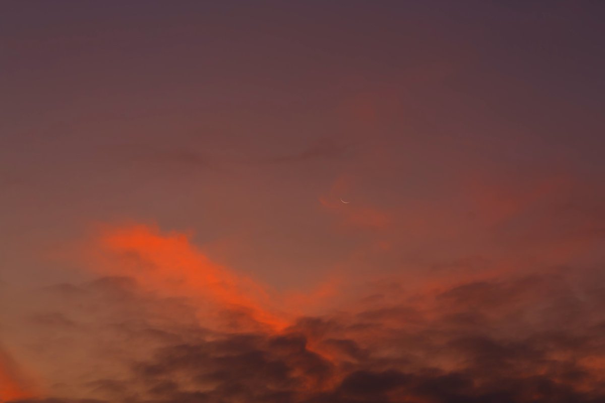 moonsystem's tweet image. 2025-07-23 04:25 - 04:36 #旧暦六月二十九日
#廿八夜残月
曙色に染まる有明の月。
雲間での撮影でノイズが多いので少ない枚数ですがコンポジットしました。
朝焼け雲に飲み込まれる月。
@MoonHourSocial #MoonHour™