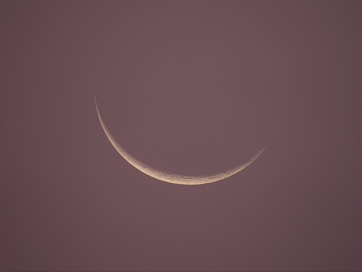 moonsystem's tweet image. 2025-07-23 04:25 - 04:36 #旧暦六月二十九日
#廿八夜残月
曙色に染まる有明の月。
雲間での撮影でノイズが多いので少ない枚数ですがコンポジットしました。
朝焼け雲に飲み込まれる月。
@MoonHourSocial #MoonHour™