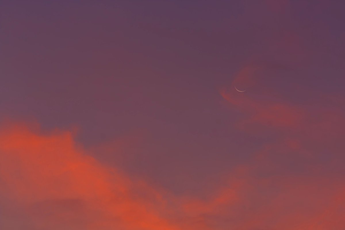 moonsystem's tweet image. 2025-07-23 04:25 - 04:36 #旧暦六月二十九日
#廿八夜残月
曙色に染まる有明の月。
雲間での撮影でノイズが多いので少ない枚数ですがコンポジットしました。
朝焼け雲に飲み込まれる月。
@MoonHourSocial #MoonHour™