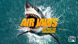 RED_Cinema's tweet photo. Now streaming on HBO Max, 'Air Jaws: The Hunt for Colossus' follows the search for a legendary 20-foot great white off New Zealand’s coast. Shot on RED by wildlife cinematographer Andy Casagrande using RED's #HELIUM8K. #SharkWeek #SharksonRED
https://t.co/VQ5mHQs1RF https://t.co/jYoNfwHXWz