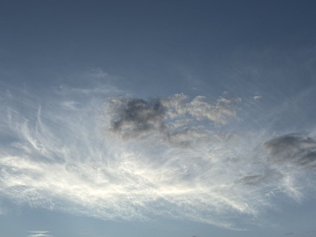 sub__tara's tweet image. They’re back… to create the next heat wave. If this is “cloud seeding,” some rain would be nice. Trees are shriveled up and losing leaves already.