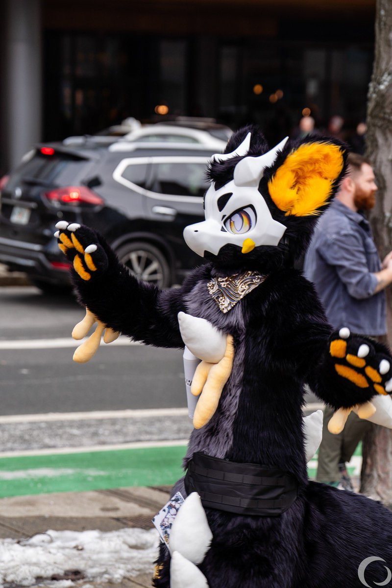 QDHfur's tweet image. High five (four actually 🐾