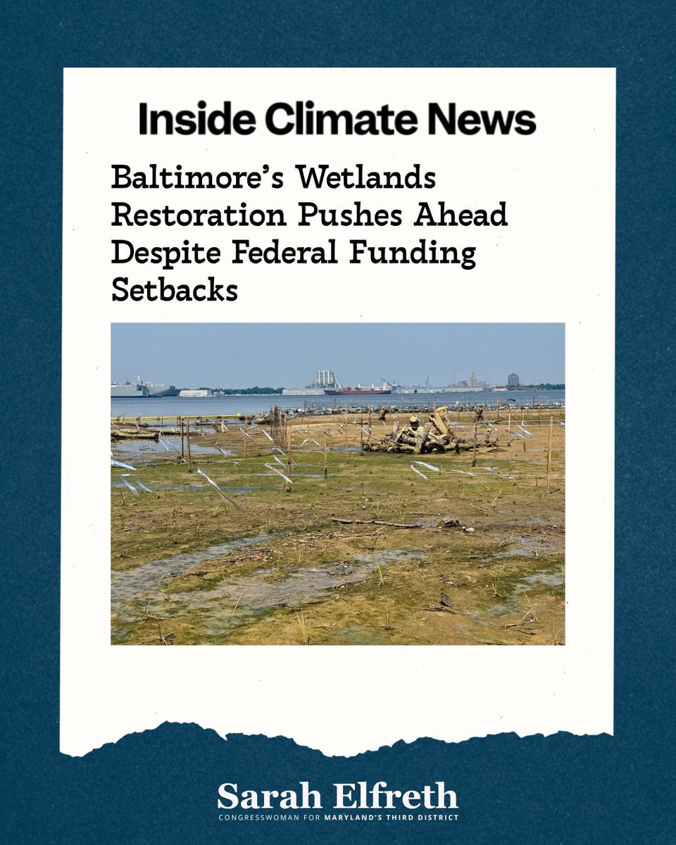 RepSarahElfreth's tweet image. With the Trump Administration cutting funds for climate and clean energy projects at every opportunity, every win matters. Baltimore’s Wetlands Restoration was one of many projects made possible by the Whole Watershed Act, which Senator @SaraLove4MD and I worked on in the State…