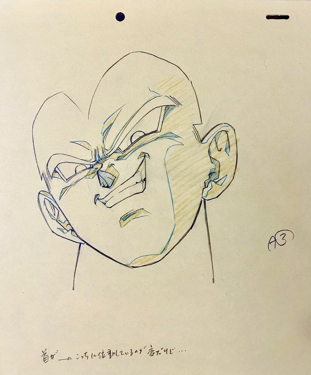 MajinJ8C's tweet image. Majin Vegeta
source : @StudioKochab for the correction
