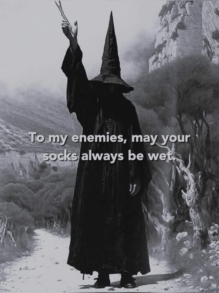 GaelicFuturist's tweet image. My cruelty and enmity to my enemies knows no bounds.