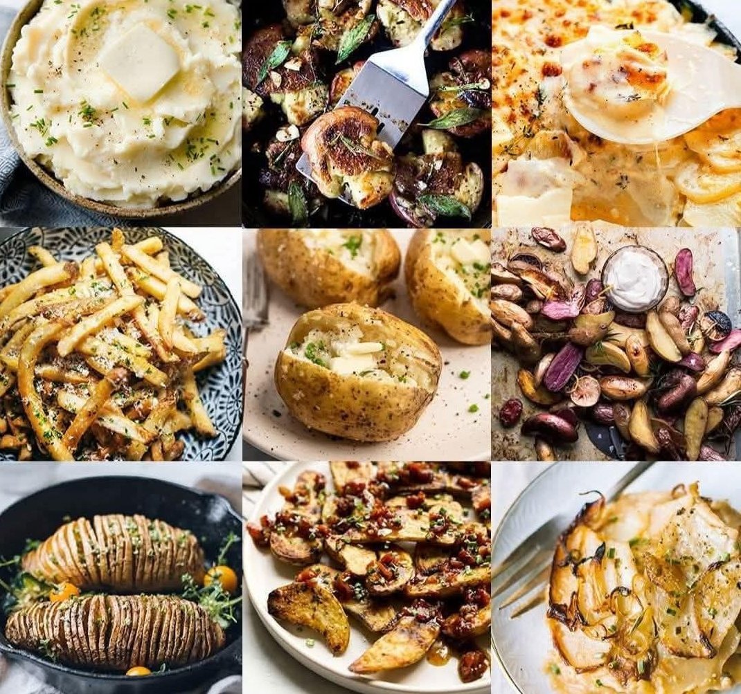 Syrup_Tishus's tweet image. How to make Syrup happy: not pictured, tater tots which are the superior form of potato.