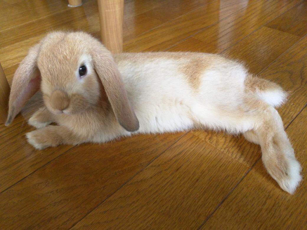 もっちゃん（TAKUMI） (@koedo_tyan) / Posts / X