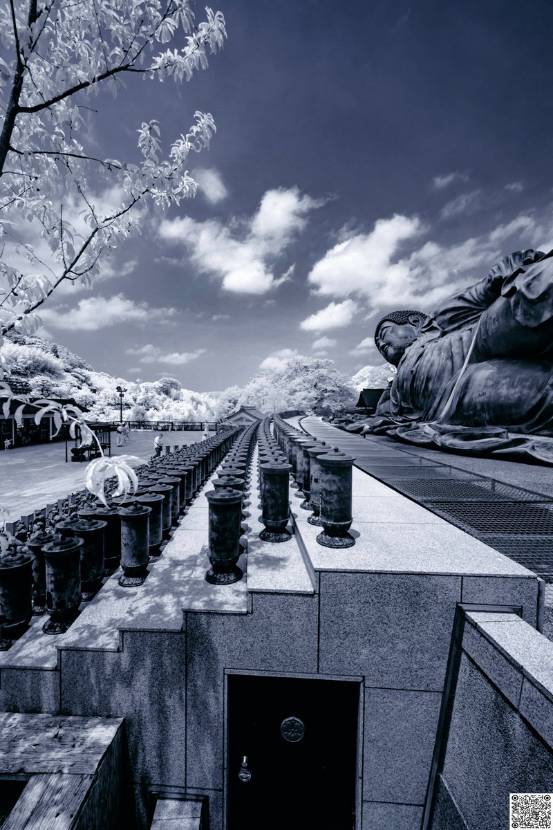 OBJKT collectors,

See my 📌 for more details about this IR photography gem or scan the QRC.