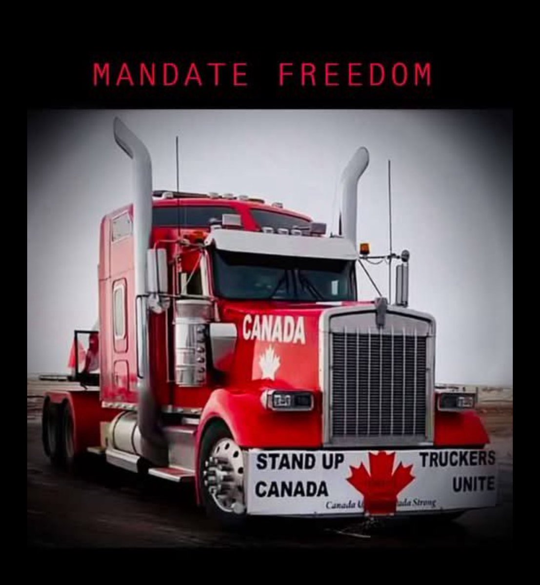 TruckerCanuk's tweet photo. I proudly stand with @LichTamara and @ChrisBarber1975
They stood for me when I had no hope.
#FreedomConvoySavedMyLife
#FreedomConvoySavedTheWorld
#SaveBigRed https://t.co/tFCkayztSC