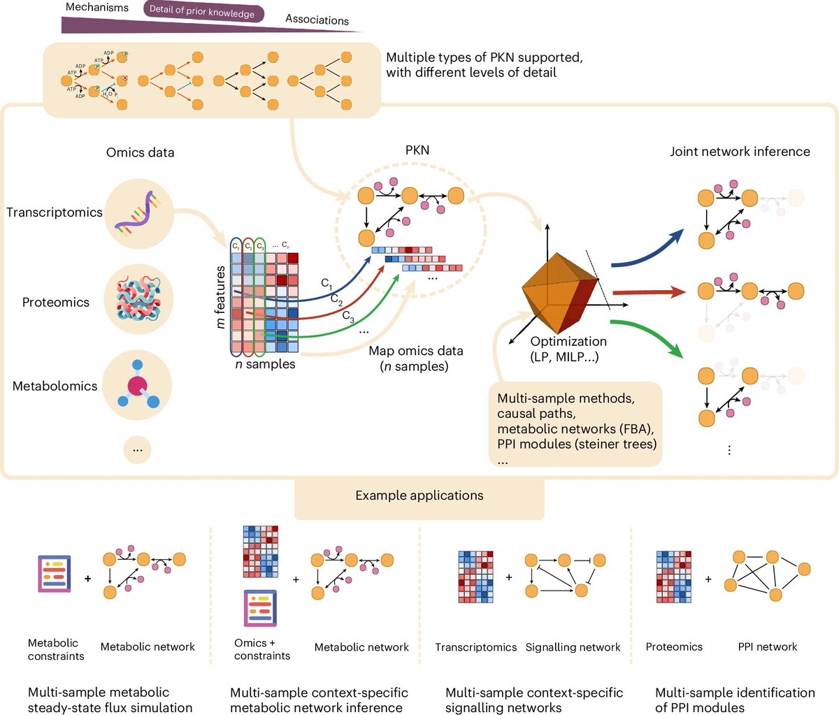 aipulserx's tweet image. Can protein language models trained on sequence data alone predict mutation effects with accuracy comparable to lab experiments?@NatMachIntell @uniklinik_hd
"Unifying multi-sample network inference from prior knowledge and omics data with CORNETO"
1. Despite the vast space of…