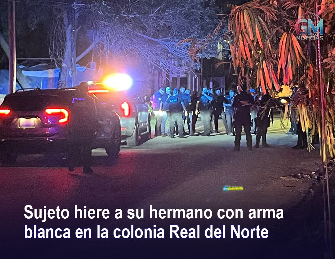 🚨🚑 Fue una pelea entre hermanos; paramédicos acudieron al lugar para atender al lesionado, mientras elementos de seguridad tomaron conocimiento del caso.
gmnoticias.mx/sujeto-a-su-he…