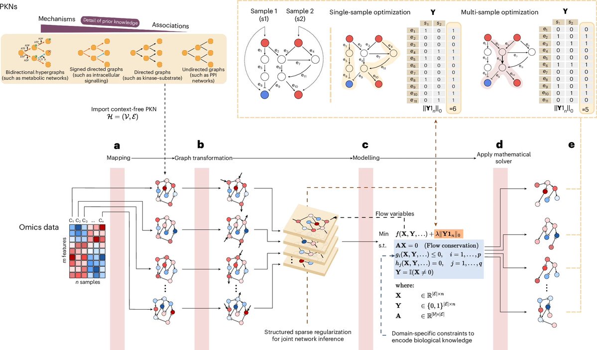 aipulserx's tweet image. Can protein language models trained on sequence data alone predict mutation effects with accuracy comparable to lab experiments?@NatMachIntell @uniklinik_hd
"Unifying multi-sample network inference from prior knowledge and omics data with CORNETO"
1. Despite the vast space of…