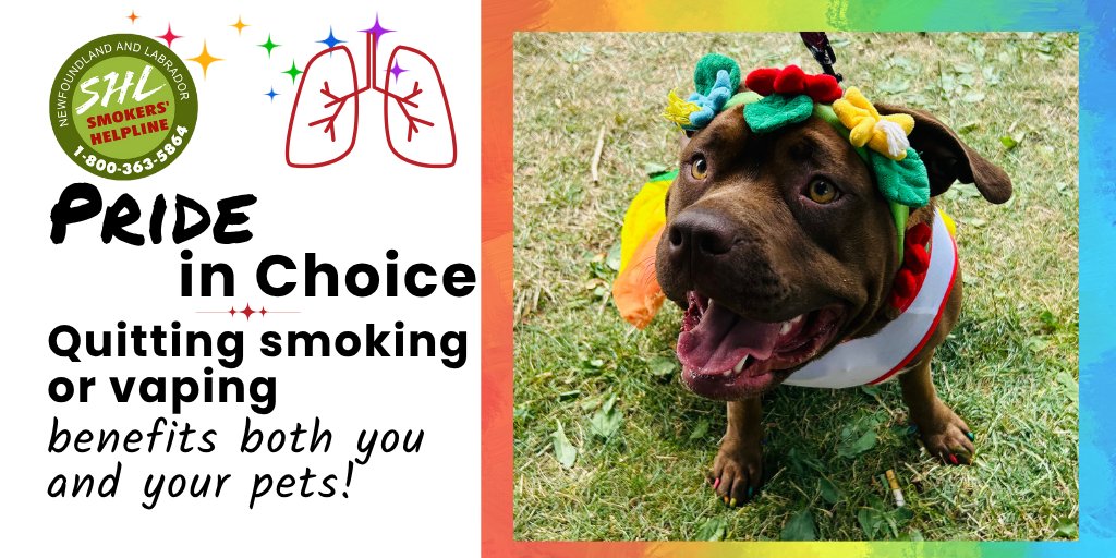 Smokers' Helpline NL tweet media