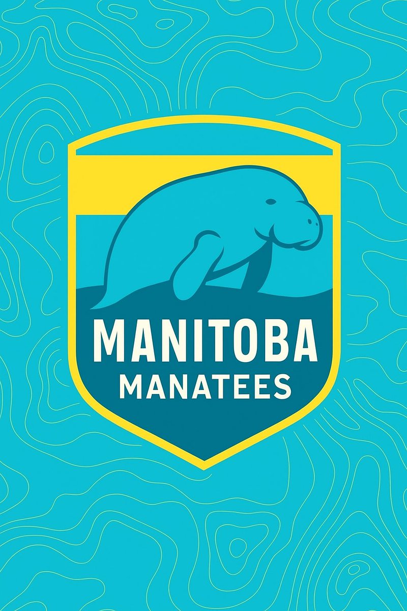 BWinstonDC's tweet photo. @NWSL Make it happen. @CBCManitoba @cityofwinnipeg @NHLJets @ValourFootball @WesmenWSOC https://t.co/nmgnrfBpoC
