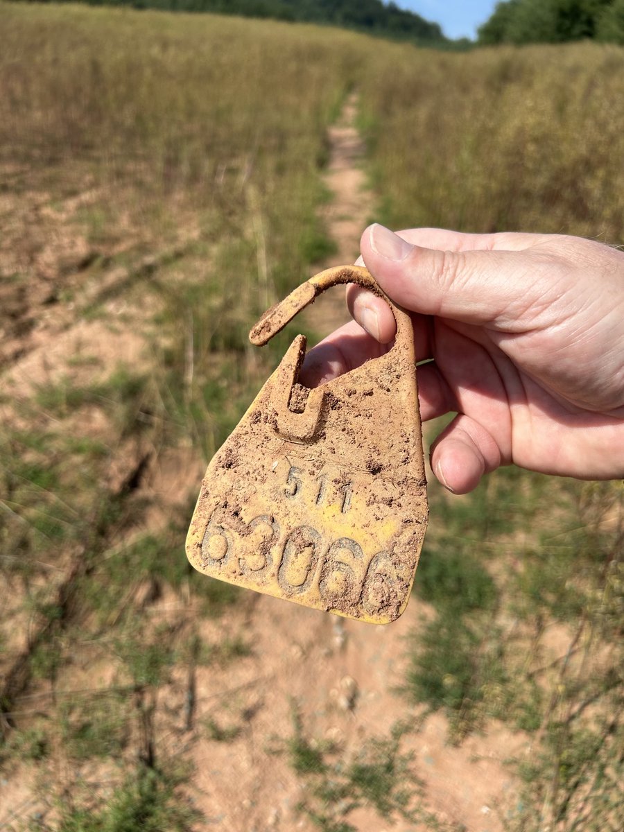 peteraposjme's tweet image. Nepostrádá někdo štítek? Kráva k němu nebyla.