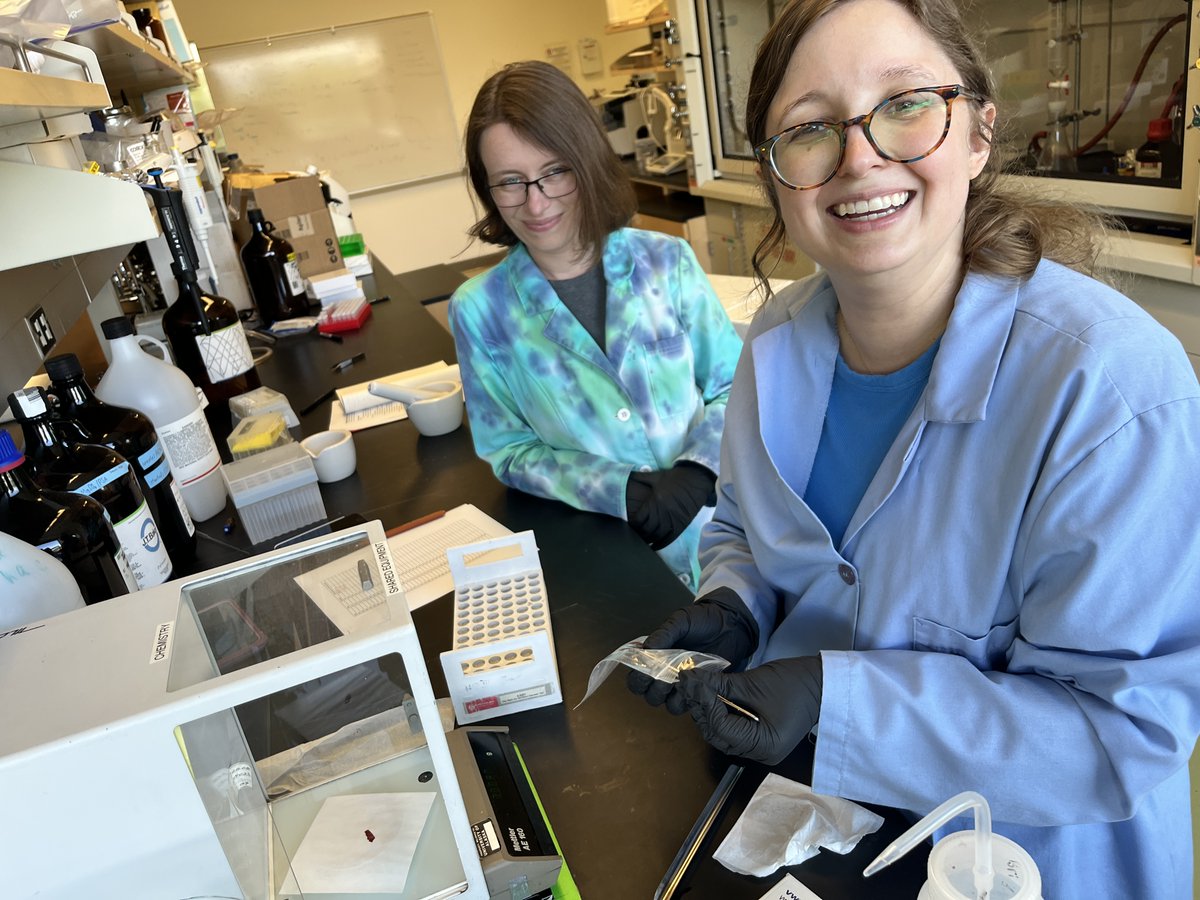 Alaska EPSCoR (@alaskaepscor) on Twitter photo Now that the red seaweeds team completed their first year of field sampling, grad student Lindsay Meyer is visiting UAA to work with postdoc Monica Brandhuber on assessing the metabolomics of red seaweeds that were grown in different environmental settings! 🌿🔬 Now that the red seaweeds team completed their first year of field sampling, grad student Lindsay Meyer is visiting UAA to work with postdoc Monica Brandhuber on assessing the metabolomics of red seaweeds that were grown in different environmental settings! 🌿🔬