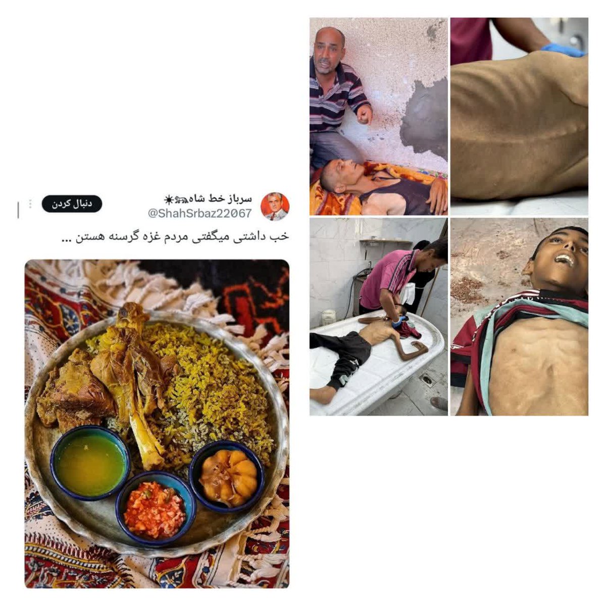 goleyasm313's tweet image. گاهی درد میشه یک تکه نان یا یک لیوان آب....
بچهای غزه در سکوت دنیا رو به نابودی هستن و اینجا هم عدهای حیوان صفت با گذاشتن عکس غذا میشن نمک روی زخم.....