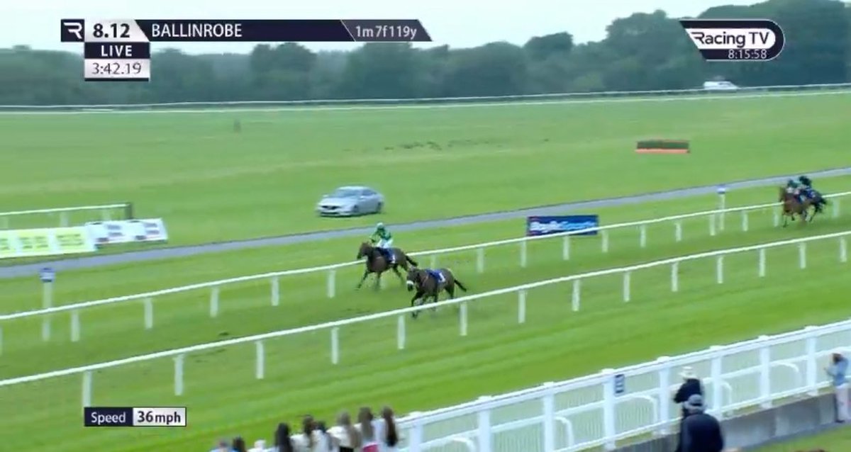 The Race Horse Guy tweet media