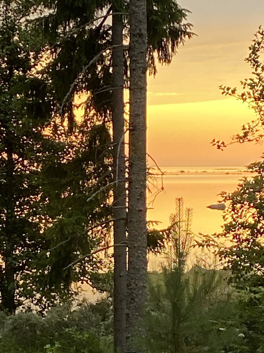 Meri on kultaa. Lokkien huudot hiljaisuudessa🧡